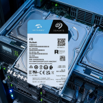 Seagate SkyHawk 4TB